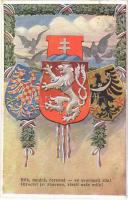 1920 Bilá, modrá, cervená - ve svornosti síla! Otroctví jsi zbavena, vlasti nase milá! / Czechoslovak unity propaganda art postcard, coat of arms. L&P 144. (EK)