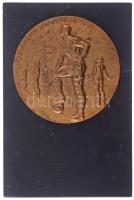 Nemes György (1885-1958) / Manno Miltiadesz (1879-1935) 1926. "1901 Magyar Labdarúgók Szövetsége 1926" egyoldalas Br emlékplakett fekete márványlapon (a plakett: 81mm) T:2