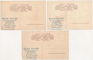 9 db RÉGI művész motívum képeslap hátoldalakon Saád István Szent Rókus gyógyszertár reklámjával Érse...