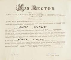 1967 Budapesti Orvostudományi Egyetem diplomája, bélyegekkel, szárazpecséttel
