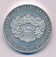 DN "Vas Megye Önkormányzata Szolgálatáért" ezüstözött piefort emlékérem tokban (42,5mm) T:...