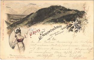 Sonnwendstein, Raxalpe, Schneeberg. E. Arenz Postkartenverlag Art Nouveau, floral