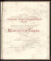2012 A Vastaps Művészeti Alapítvány legjobb férfi főszereplőnek járó díja, a Katona József Színház e...
