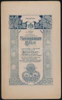 cca 1910 Budapest, Sinayberger Béla fényképész műtermében készült keményhátú vintage fotó, szecesszi...