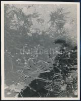 cca 1933 Kinszki Imre (1901-1945) budapesti fotóművész hagyatékából feliratozott vintage fotó (vízpart), 15x12 cm