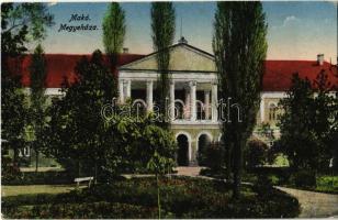 1920 Makó, Megyeháza (EK)
