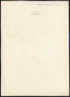 cca 1934 Kinszki Imre (1901-1945) budapesti fotóművész hagyatékából pecséttel jelzett vintage fotó (...