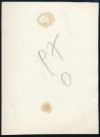 cca 1931 Kinszki Imre (1901-1945) budapesti fotóművész hagyatékából, jelzés nélküli vintage fotó (ka...