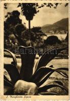 1938 Santa Margherita Ligure (EB)