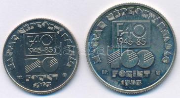 1985. 20Ft Cu-Ni "FAO IV." + 100Ft Cu-Ni "FAO IV." T:1 Adamo EM90, EM91