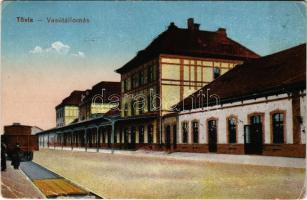 1918 Tövis, Teius; vasútállomás. Vasúti levelezőlapárusítás 3991. / railway station (EB)