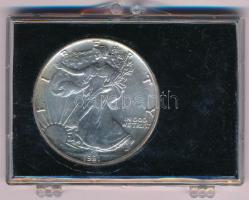Amerikai Egyesült Államok 1991. 1$ Ag "Amerikai Sas" műanyag tokban T:1- patina 
USA 1991...