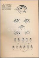 Dr. Nagy Emil: A fácán és vadászata. Bp., 1984, Mezőgazdasági Kiadó. Kiadói egészvászon kötés, volt ...