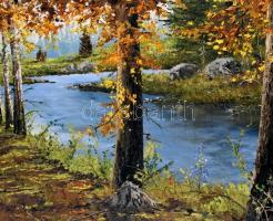 Porubszky István (1931-2016): Vízparti táj. Olaj, vászon, jelzett, hátoldalán autográf felirattal. D...