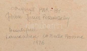 Porubszky István (1931-2016): Vízparti táj. Olaj, vászon, jelzett, hátoldalán autográf felirattal. D...
