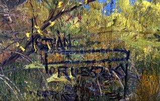 Porubszky István (1931-2016): Vízparti táj. Olaj, vászon, jelzett, hátoldalán autográf felirattal. D...