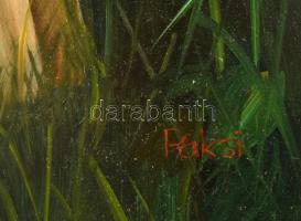 Paksi Vilmos (1967-): Magányosan. Olaj, fa, jelzett, hátoldalán bírálóbizottsági jegyen feliratozott...