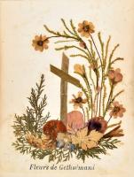 cca 1900 A Szentföld virágai fa-borítású füzet  szárított virágokkal. Egy két virág sérült / Flowers...