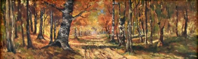 Novák Sándor jelzéssel: Erdei út. Olaj, vászon, kartonra kasírozva. Dekoratív, kissé sérült fa keretben. 22,5x62 cm