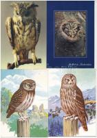 12 db MODERN motívum képeslap: baglyok / 12 modern motive postcards: owls