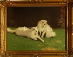 Azonosítatlan jelzéssel: Macskák, olaj, vászon keretben 95x75 cm