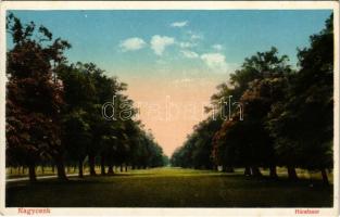 Nagycenk, Hársfasor