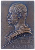 Franciaország 1910. 1822-1895 - Louis Pasteur kétoldalas Br plakett. Szign.: Georges Prudhomme (52x73mm) T:2 France 1910. 1822-1895 - Louis Pasteur two-sided Br plaque. Sign: Georges Prudhomme (52x73mm) C:XF