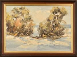 Bubelényi László (1953-): Téli. Olaj, farost, jelzett, fa keretben, hátoldalán Kortárs Képzőművészet...