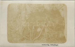 1912 Kis-Kevély, barlang, kirándulók. photo