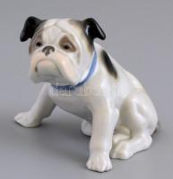 Metzler & Ortloff porcelán kutya, kézzel festett, jelzett, hibátlan, 7x10 cm