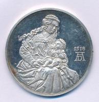 NSZK ~1971. "Albrecht Dürer 1471-1528" peremen jelzett Ag emlékérem (19,44g/1000/40mm) T:2...