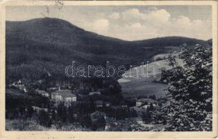 1931 Bártfa, Bártfafürdő, Bardejovské Kúpele, Bardiov, Bardejov; Panorama / látkép. M. Slamovits kiadása / general view (EK)