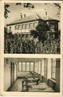 1950 Ábrahámhegy, Eta penzió, szőlő, belső (EB)