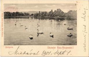 1901 Tata, Tata-Tóváros; Hattyú tó. Nobel Adolf kiadása