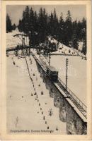 Davos, Drahtseilbahn Davos-Schatzalp / cable railway, funicular in winter (EK)