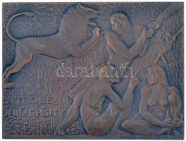 Mészáros Andor (1900-1972) 1969. La Trobe Egyetem - Oroszlán egyoldalas bronz plakett (99x75mm) T:2
