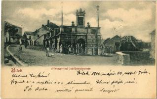1902 Bileca, Bilek; Jubiläumsbrunnen / street view, fountain (EK)