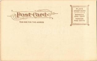 New York, Waldorf-Astoria luxury hotel. Blanchard Press