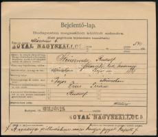 1918-1919 Német katona magyarországi bejelentő lapja és letelepedési engedélye