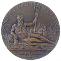 Franciaország 1906. Európai Duna Bizottság peremén jelzett Br emlékérem. Szign.: A. Patey (59mm) T:1- France 1906. European Danube Commission hallmarked on edge Br commemorative medal. Sign.: A. Patey (59mm) C:AU