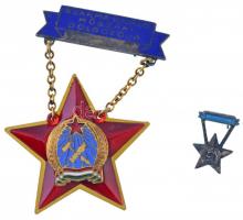 ~1950. Szakma Kiváló Műszaki Dolgozója Rákosi-címeres zománcozott és aranyozott fém kitüntetés, hátoldalán 99010 sorszámmal, miniatűrrel T:2-