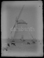 Szélmalom, üvegnegatív, 6×9 cm / windmill