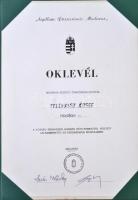1991. "Madaras" díjplakett adományozói tokban, oklevéllel együtt. Szign.: M (77mm) T:1-