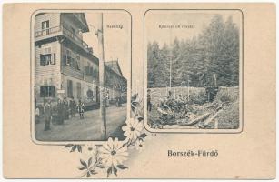 1916 Borszék-fürdő, Borsec; székház, Közrezi úti részlet / villa hotel, spa, road. Art Nouveau, floral