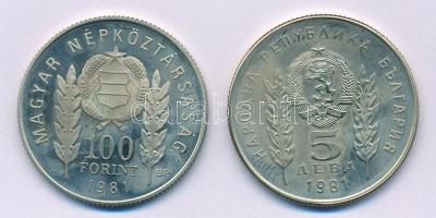 1981. 100Ft Cu-Ni-Zn + 5L Cu-Ni-Zn "Bulgária 1300 éves" magyar-bolgár közös kiadás, eredet...