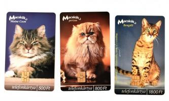 2003-2006 3 klf macskák telefonkártya használtan, de jó állapotban, benne 2000 pld-os ritkaság is