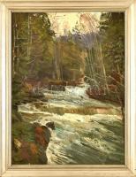 Olvashatatlan jelzéssel: Rohanó erdei patak. Olaj, karton. Sarkaiban kissé sérült fa keretben. 79x59...