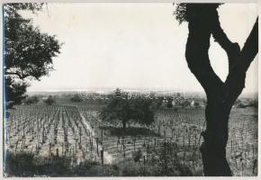 cca 1975 Velencei táj, hátoldalon feliratozott, publikált fotó, 16,5×24 cm