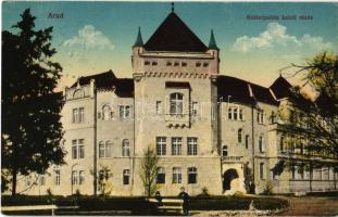 1917 Arad, Kultúrpalota keleti része. Vasúti levelezőlapárusítás 50. sz. 1916. / palace of culture (szakadás / tear)