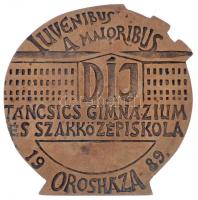 Rajki László (1939-) 1989. "IUVENIBUS A MAIORIBUS díj - Táncsics Mihály Gimnázium és Szakközépi...